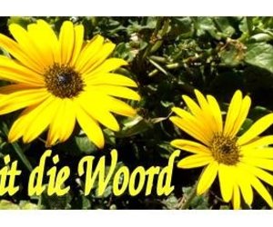 Die VRUG van die GEES is VREUGDE 